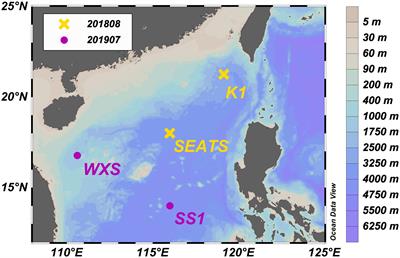 Heterogeneity of nitrogen fixation in the mesopelagic zone of the South China Sea